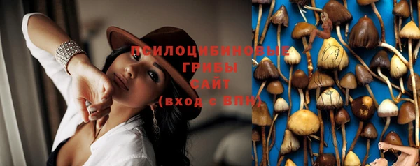 скорость Баксан