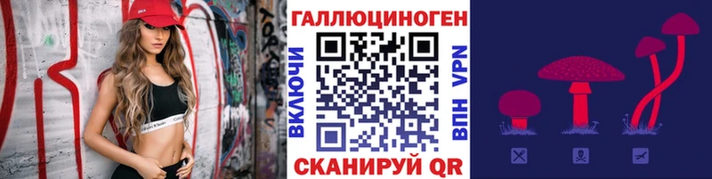 закладка  Ленинск-Кузнецкий  Галлюциногенные грибы Magic Shrooms 